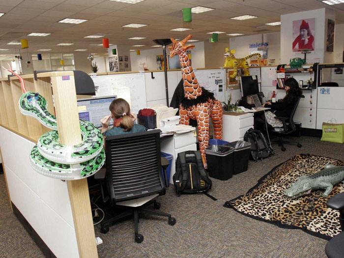 ameublement Safari dans le bureau de San Francisco